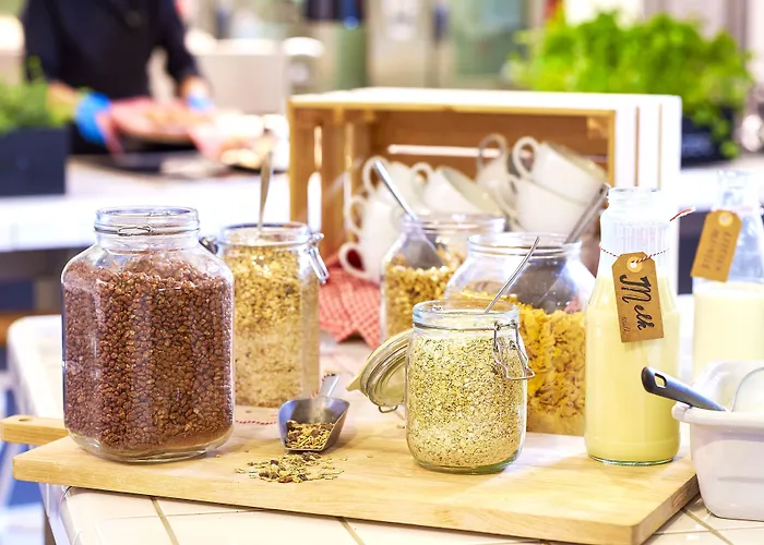 Hostel Stayokay - Fully Renovated April 2026 Rotterdam